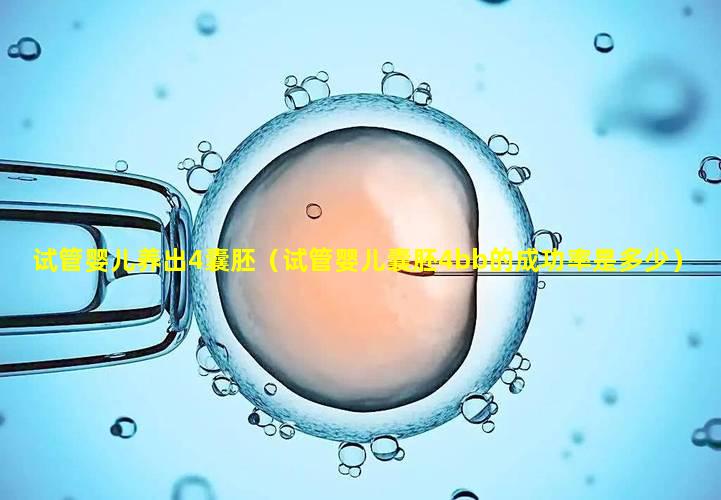 试管婴儿养出4囊胚（试管婴儿囊胚4bb的成功率是多少）